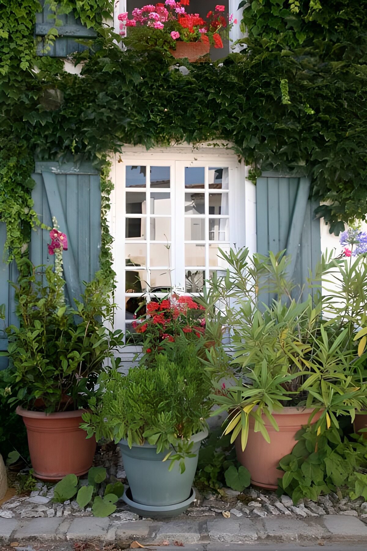 TPES57363: Ventana entre contraventanas y macetas
