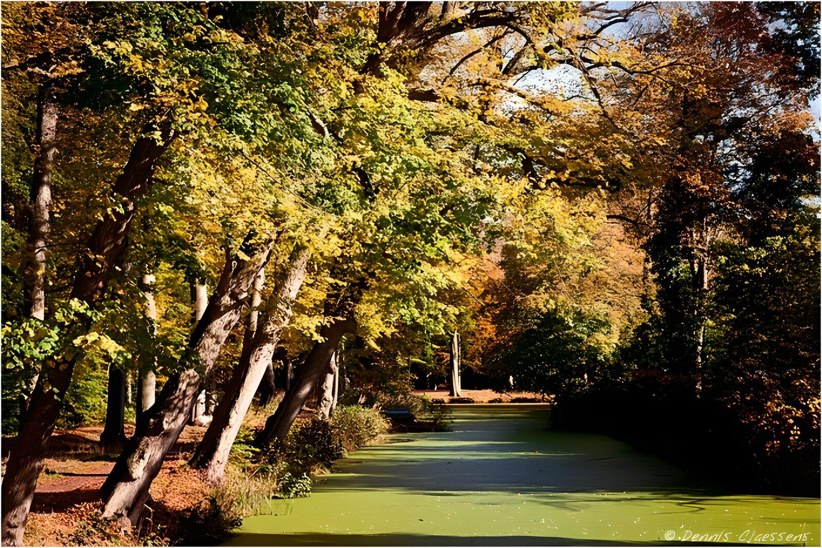 TPES23467: Agua verde entre árboles de otoño