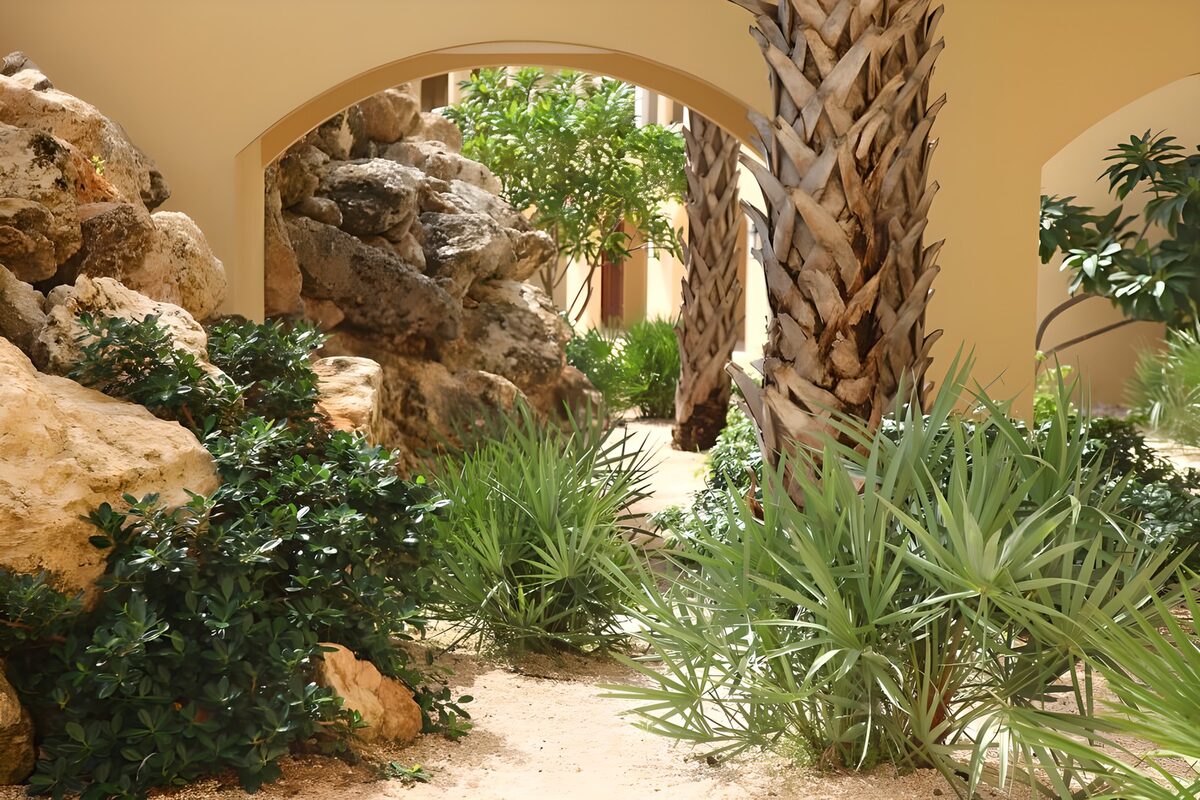 Patio con palmeras y arcos ocres
