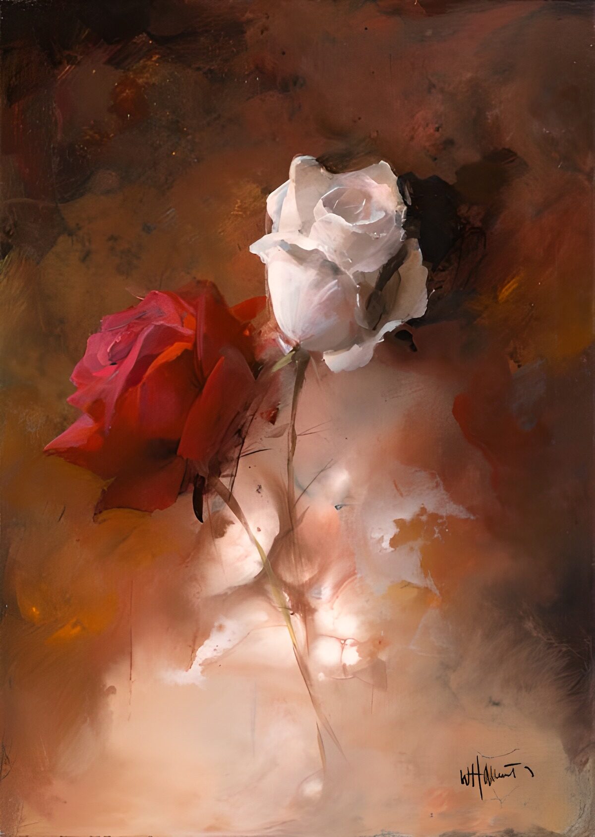 Rosa roja y rosa blanca en tonos cálidos