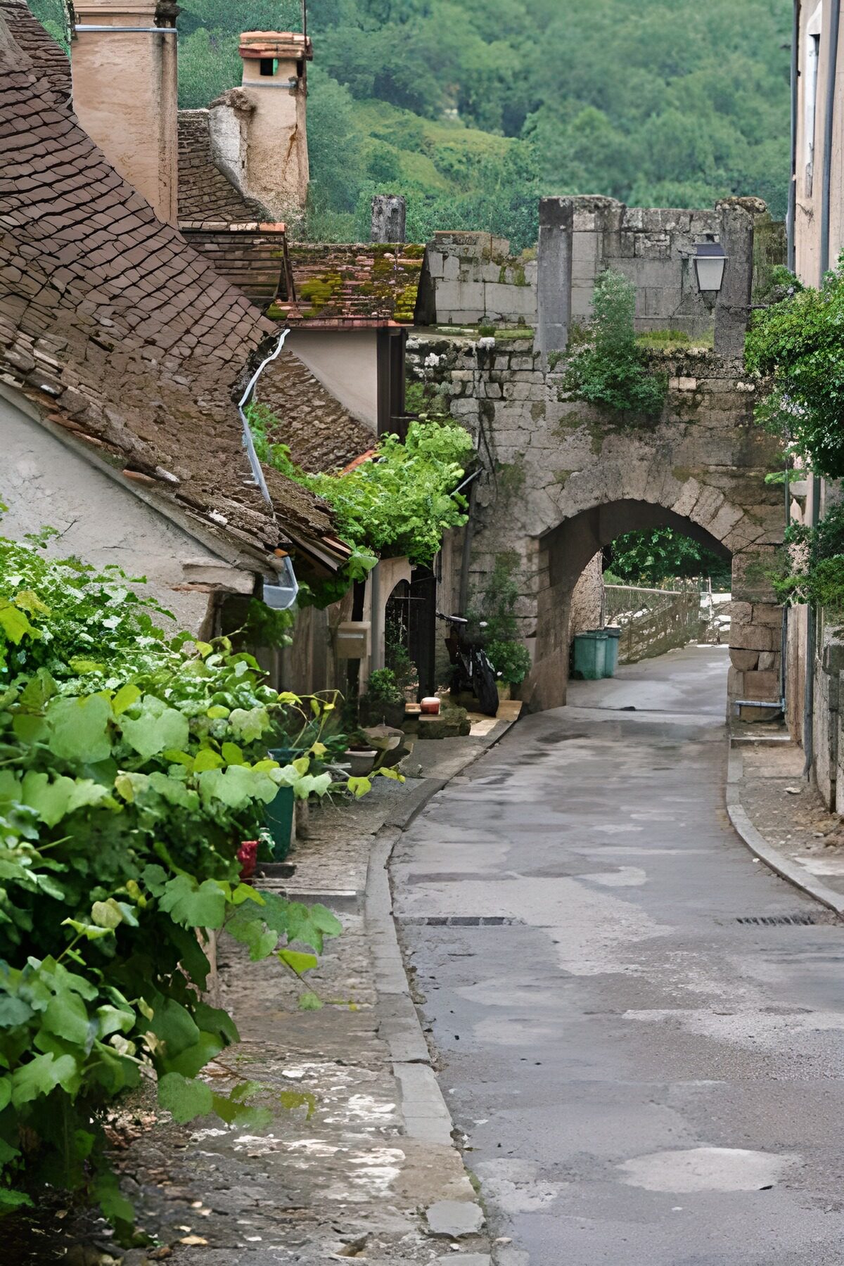 TPES28149: Calle estrecha con arco de piedra y verdor