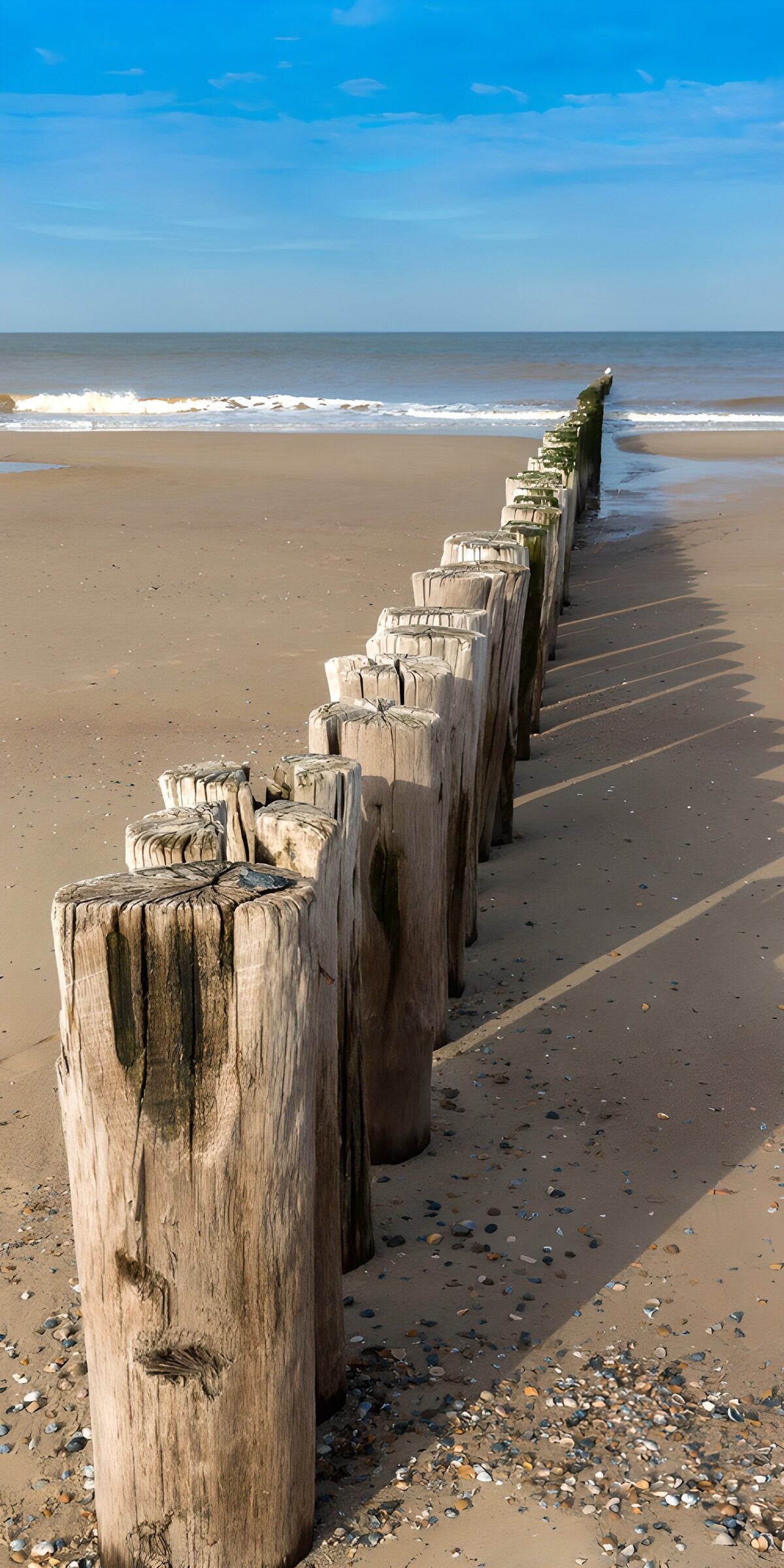 TPES22386: Postes de madera junto al mar en calma