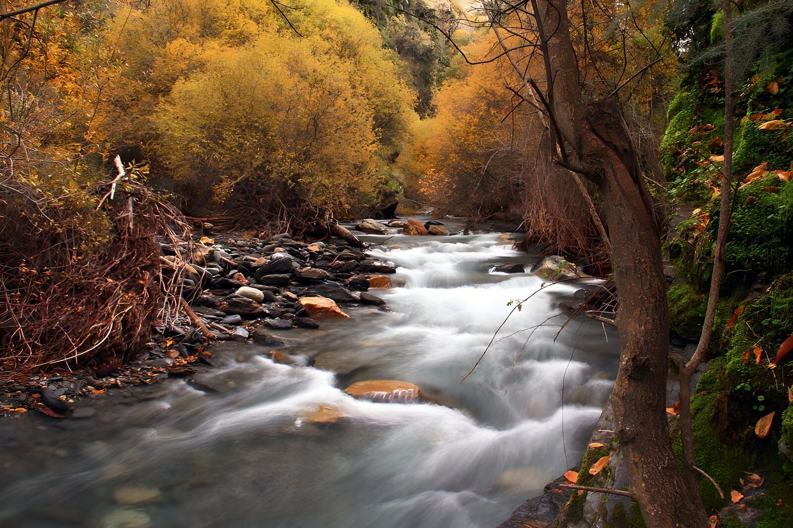 TPES76402: Arroyo entre rocas en un bosque otoñal
