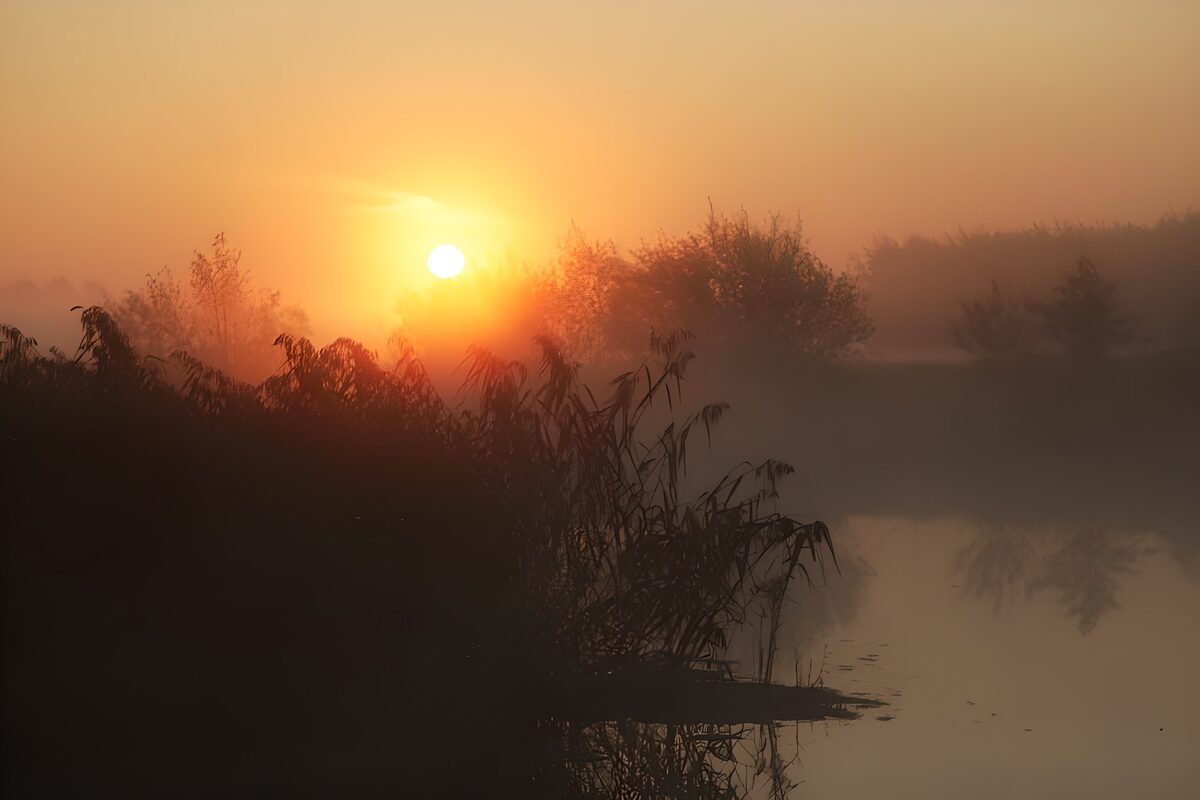 Amanecer con niebla sobre el agua