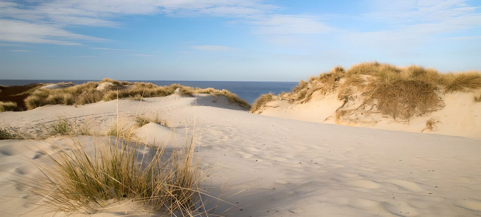 TPES92804: Dunas de arena y mar en calma