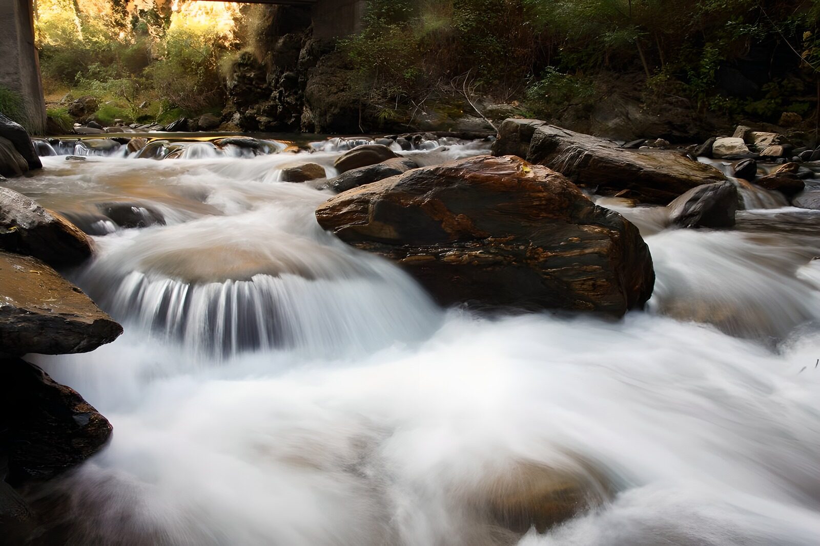 TPES31490: Arroyo entre rocas y sombras