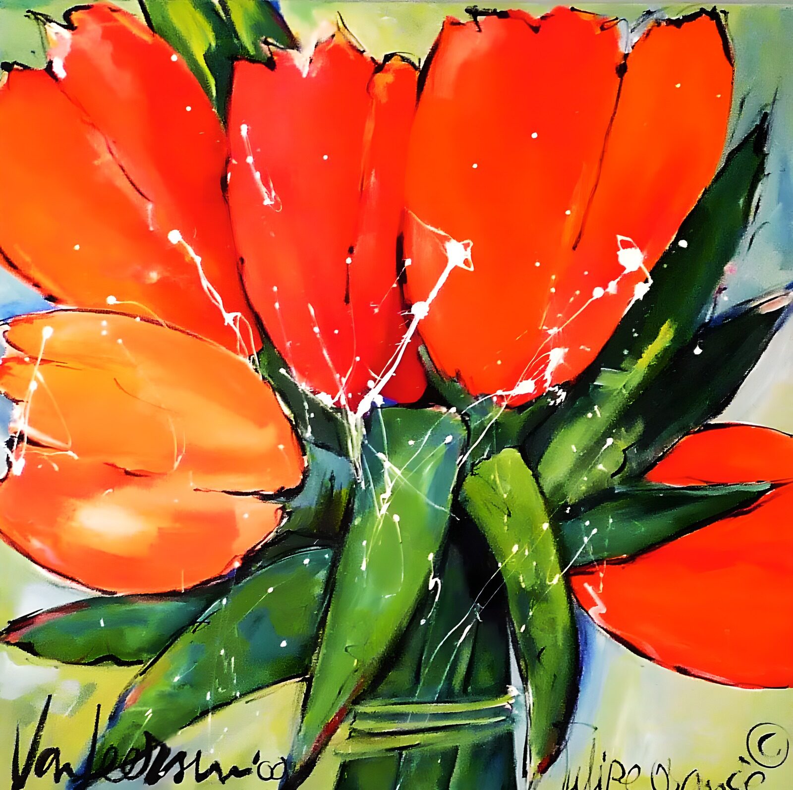 TPES85191: Tulipanes rojos y naranjas en libertad