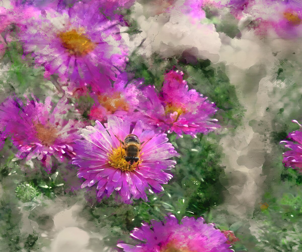 Flores rosas y moradas en acuarela
