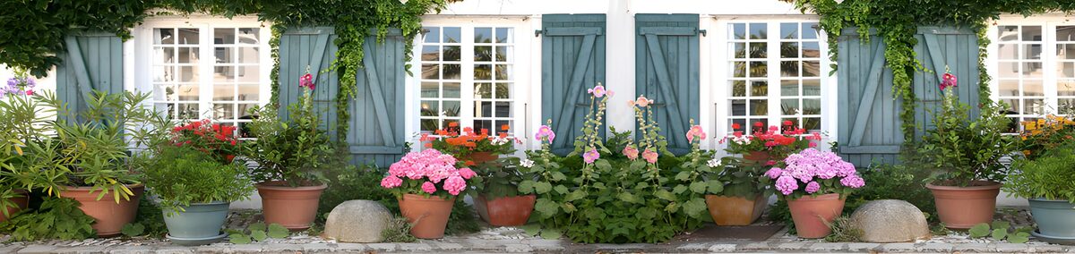 TPES81741: Fachada con contraventanas azules y flores
