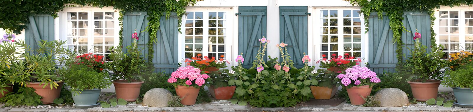 TPES81741: Fachada con contraventanas azules y flores