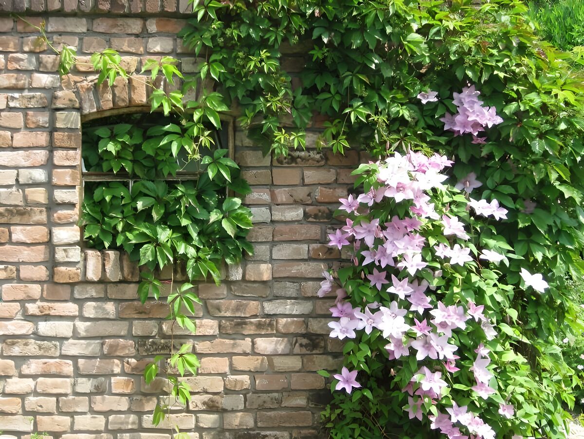 Muro de ladrillo con flores al sol