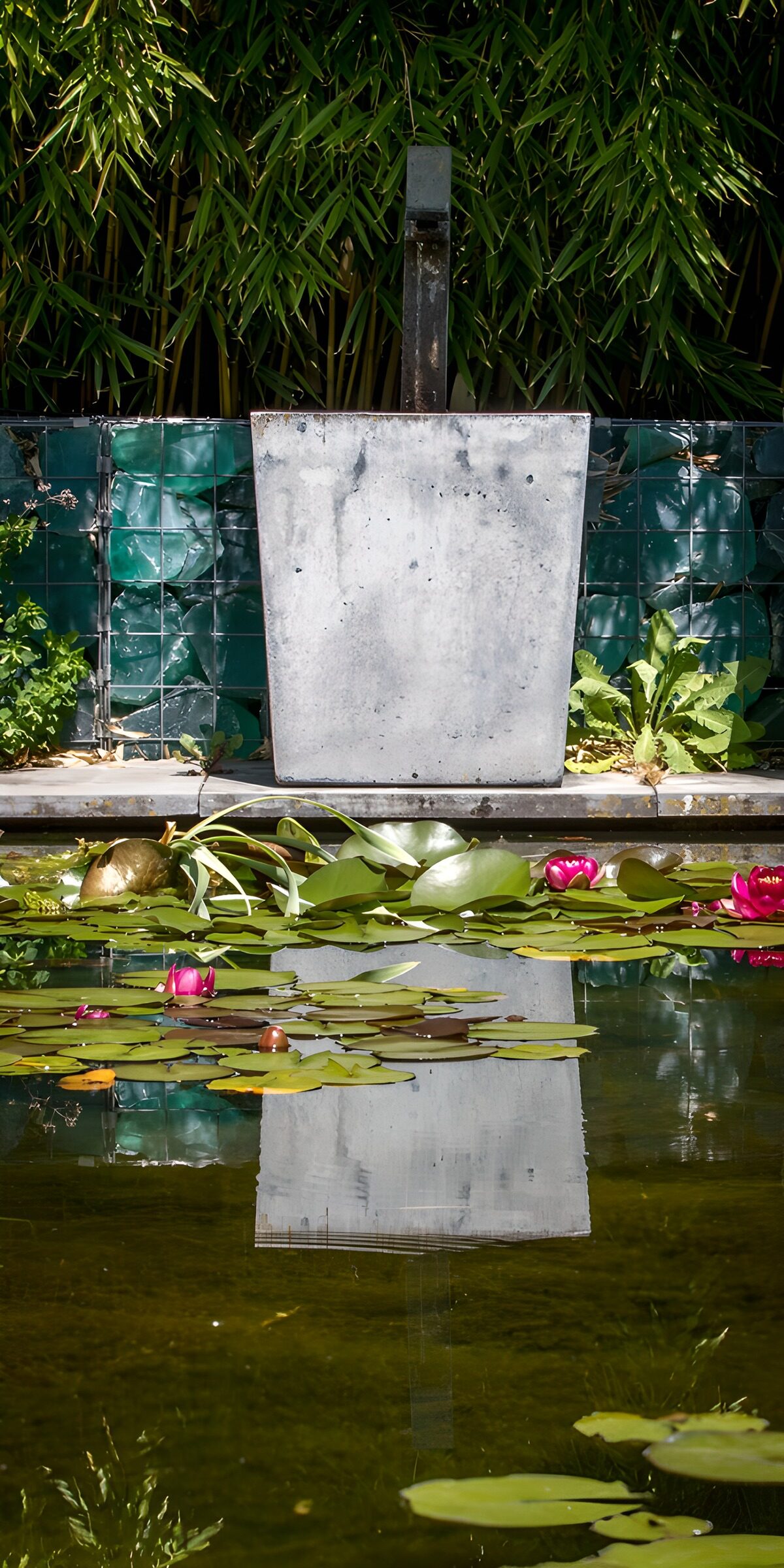 TPES28235: Estanque de nenúfares rosas entre bambú