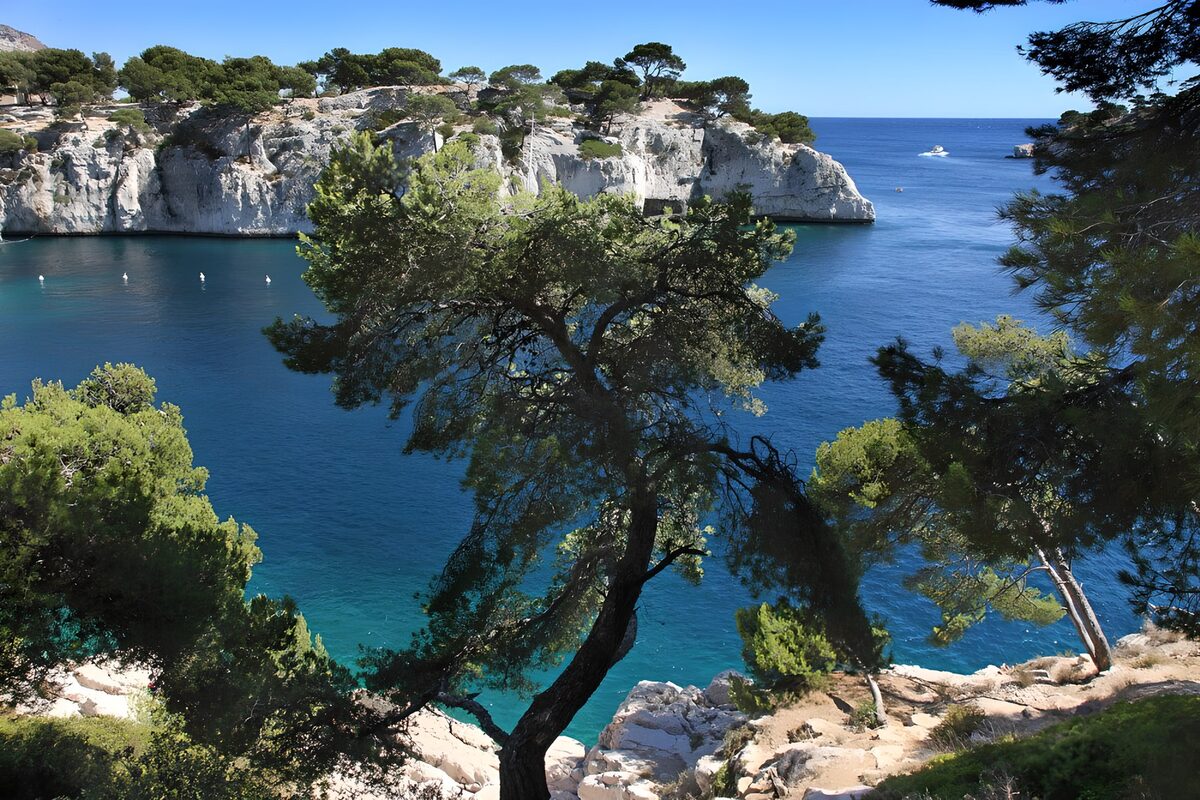 TPES69293: Cala azul entre pinos y acantilados
