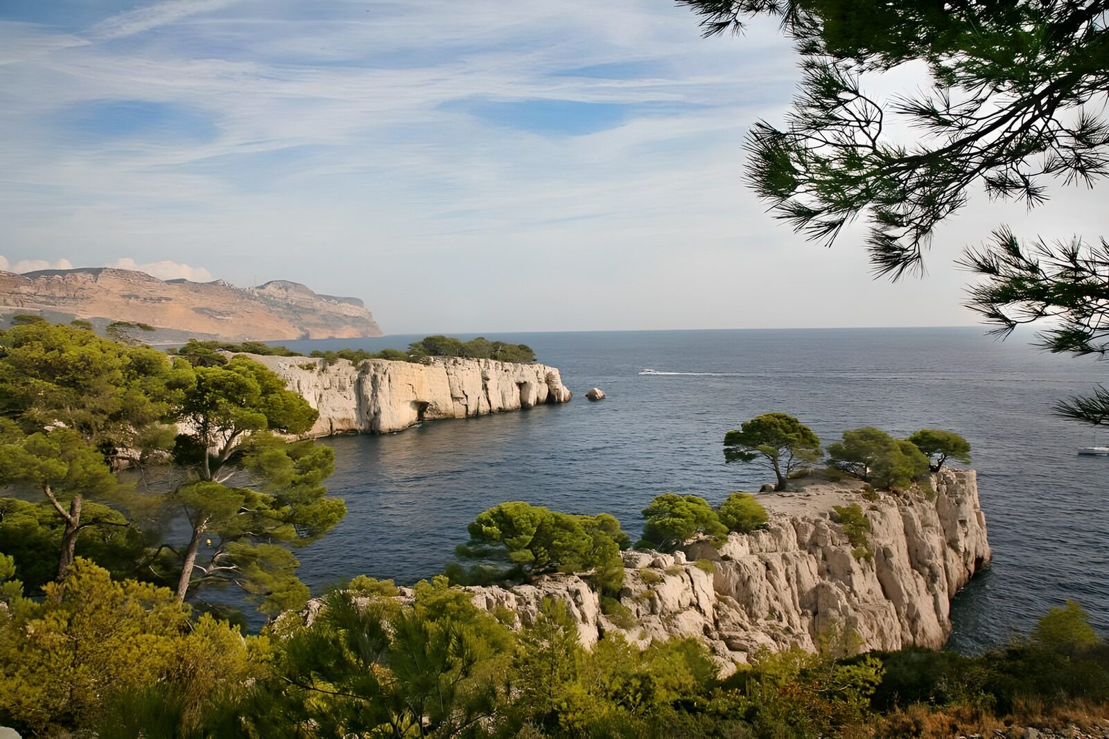 TPES13342: Bahía de pinos y acantilados al sol