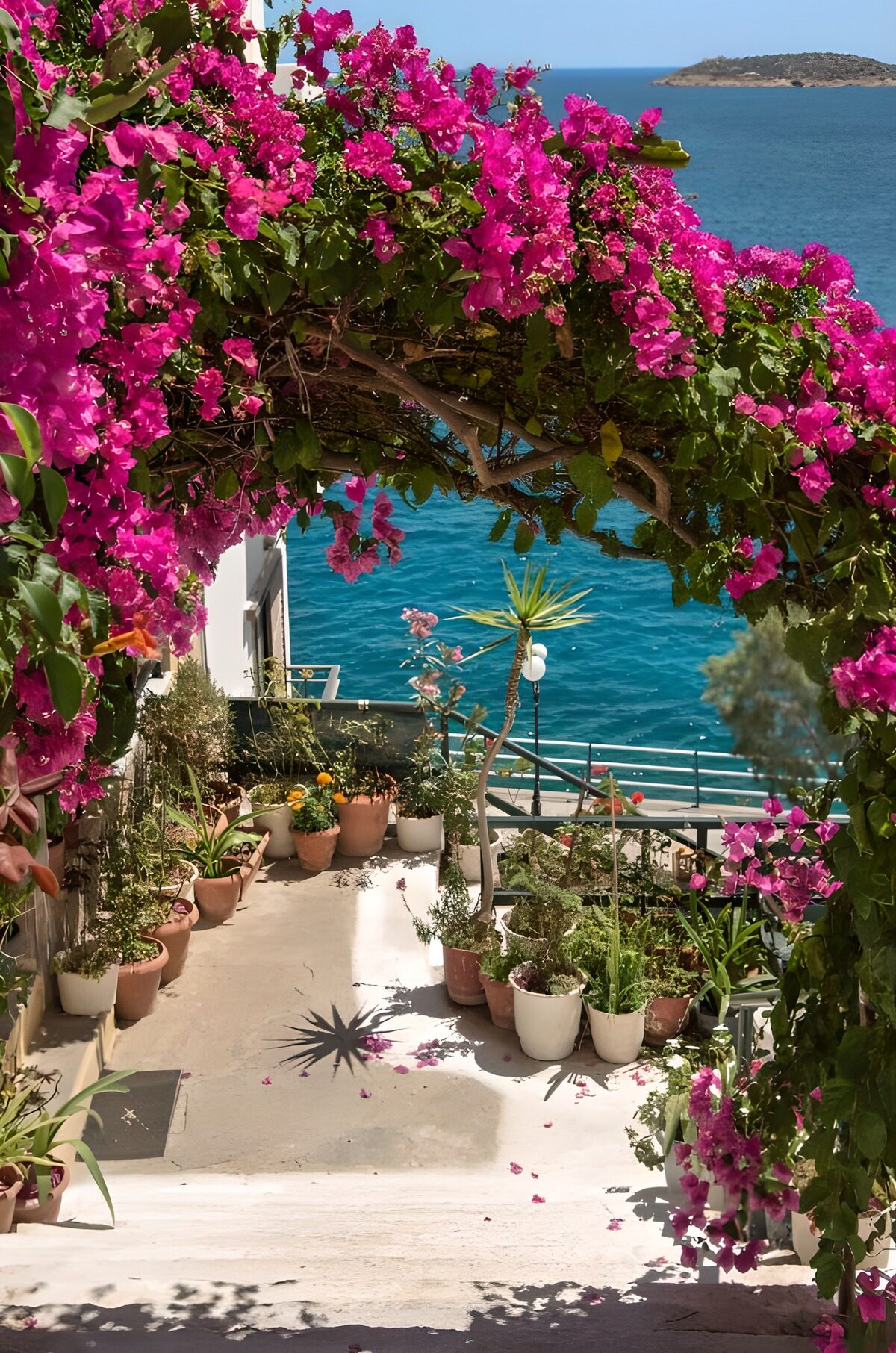 Terraza al sol entre buganvillas y mar