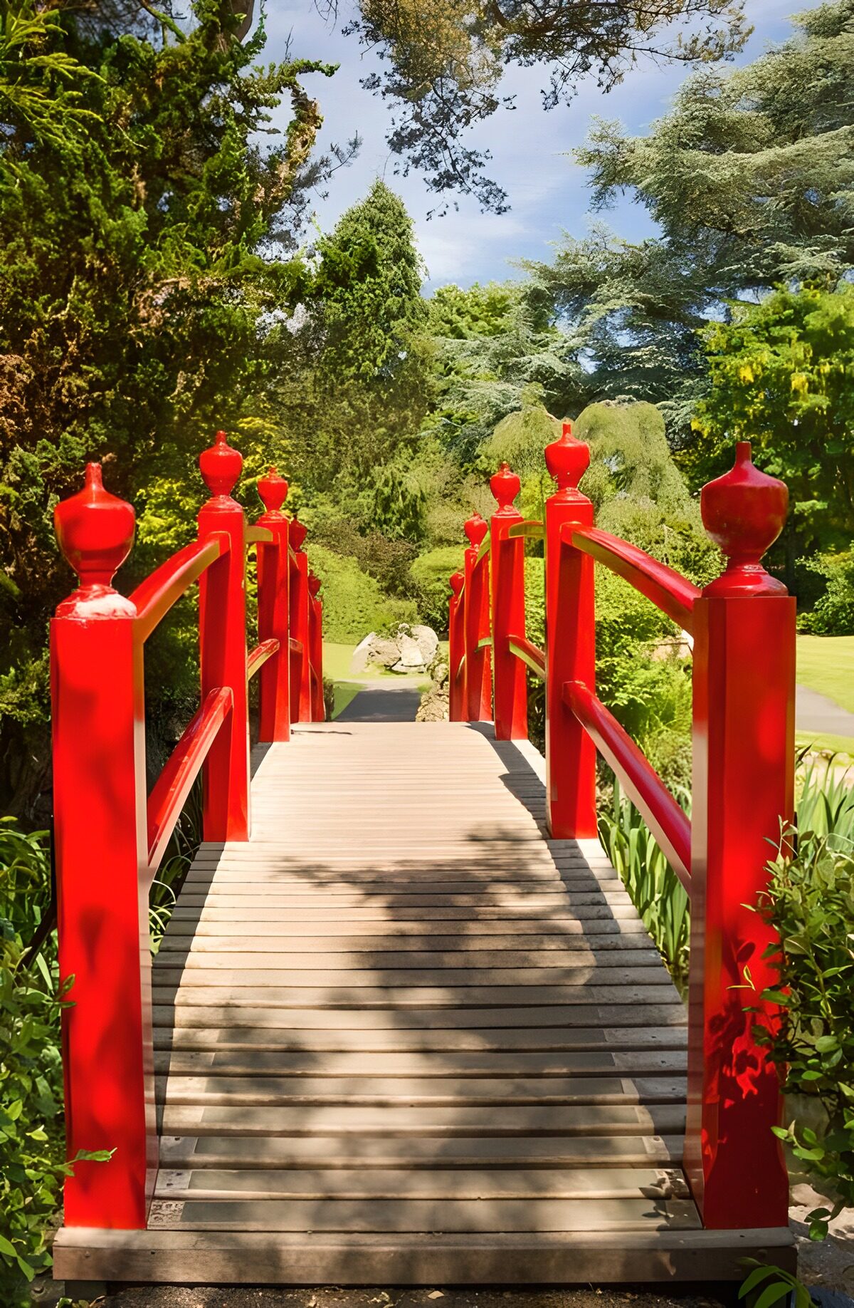 TPES34198: Puente rojo de madera entre sombras