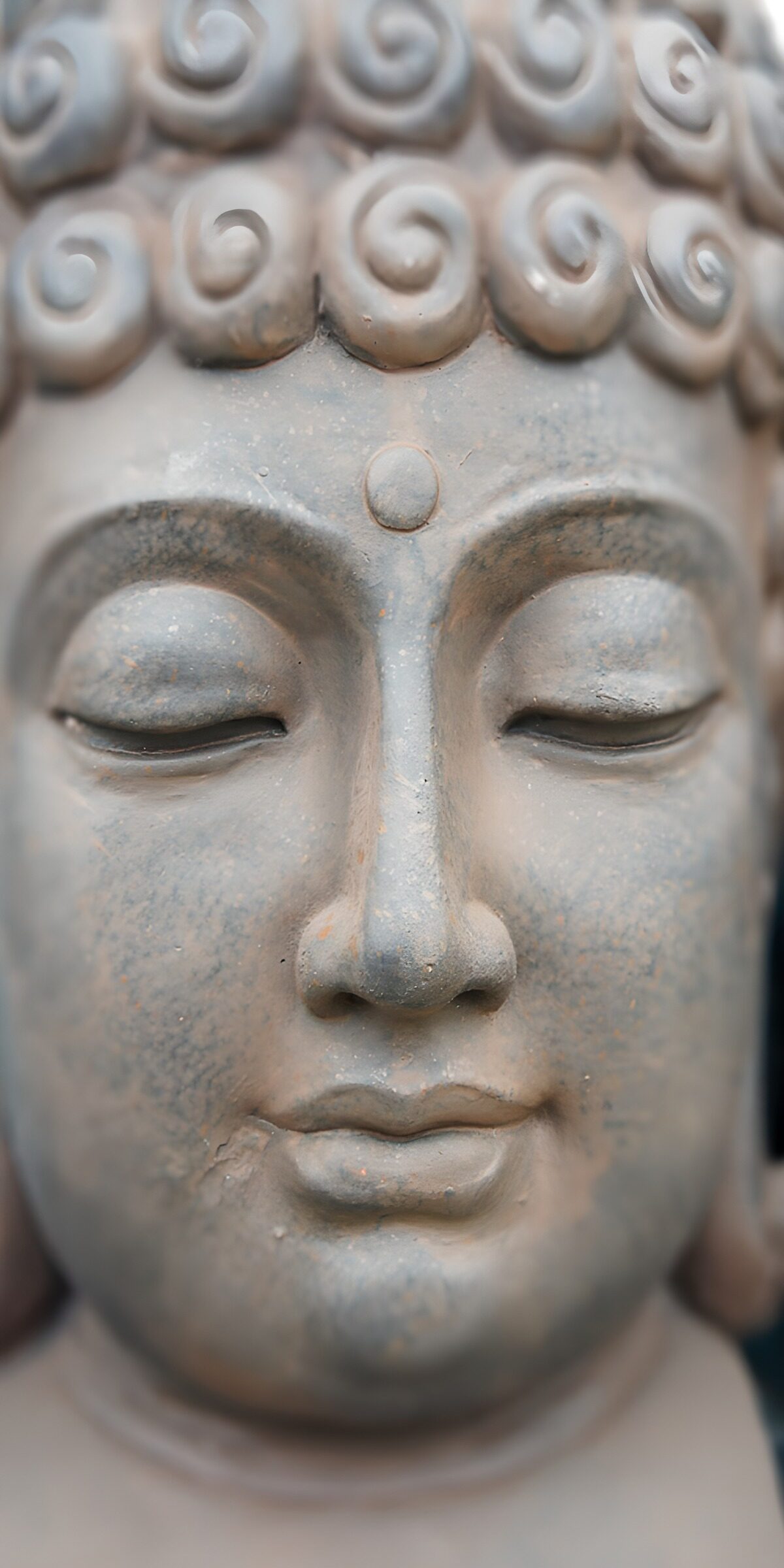 TPES78216: Rostro de Buda en calma