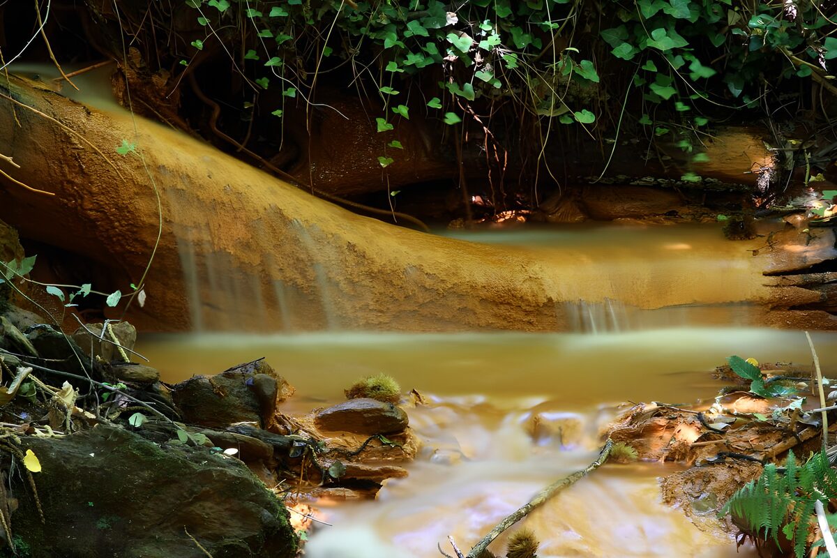 TPES67701: Cascada sobre rocas ocres en el bosque