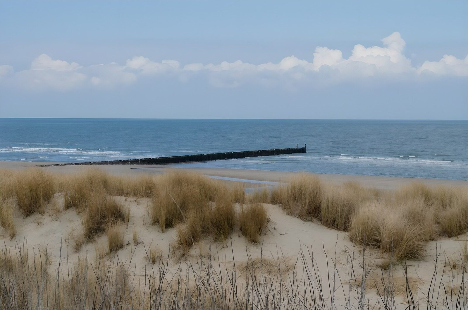 TPES87677: Dunas y espigón junto al mar en calma