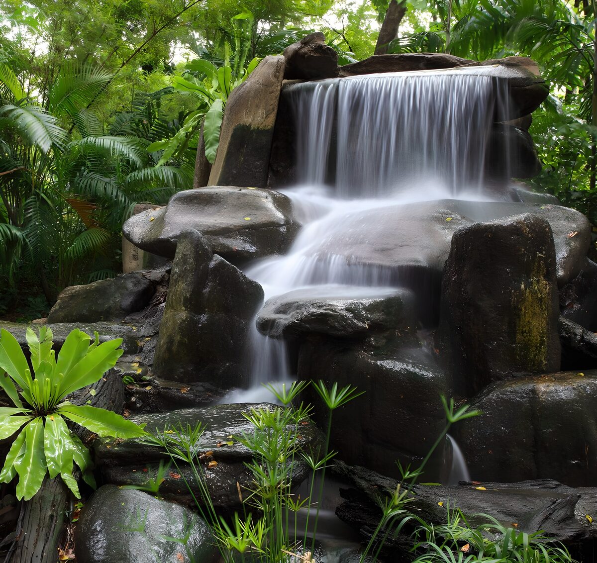 Cascada escalonada entre rocas y vegetación