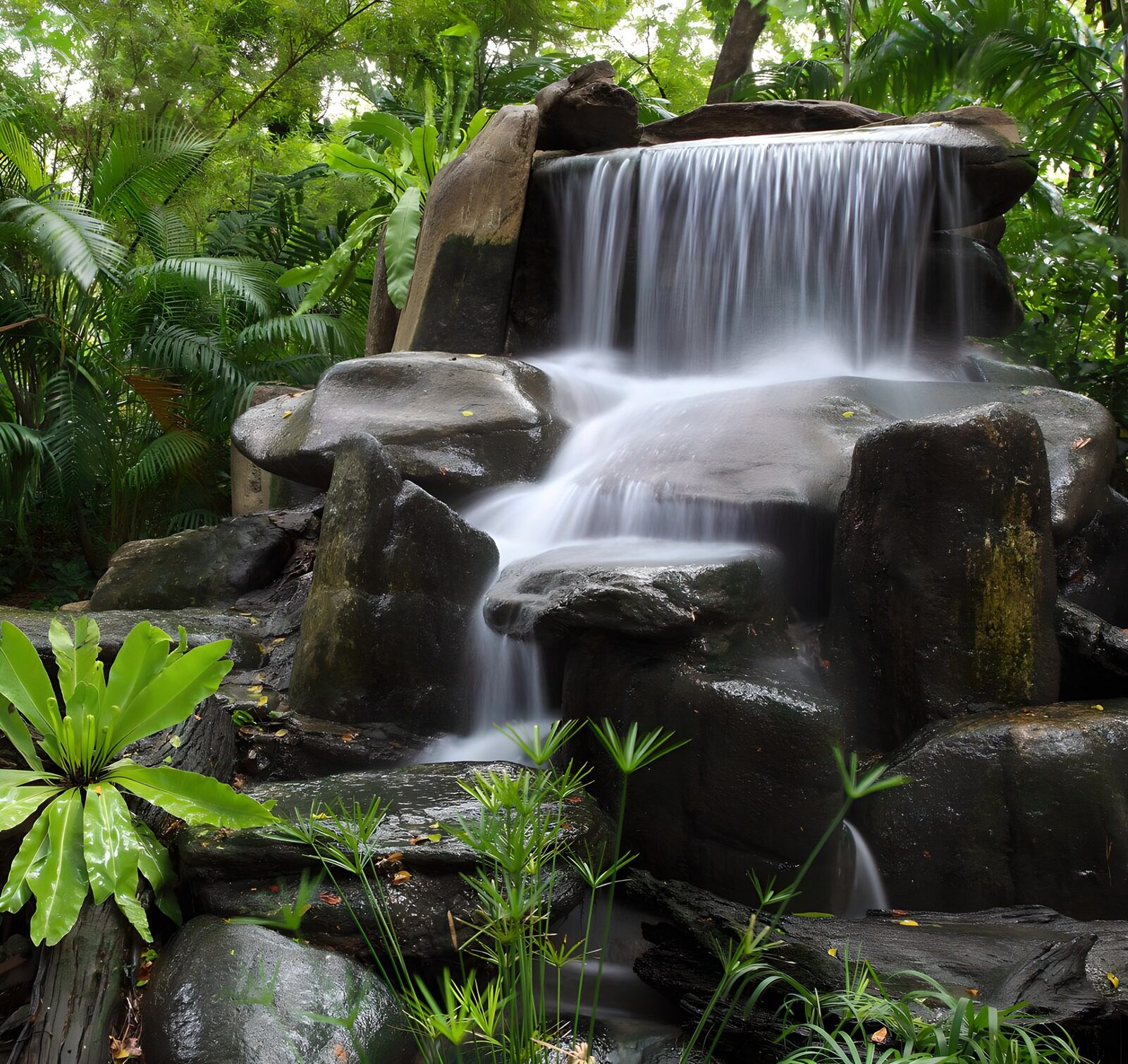 TPES76532: Cascada escalonada entre rocas y vegetación