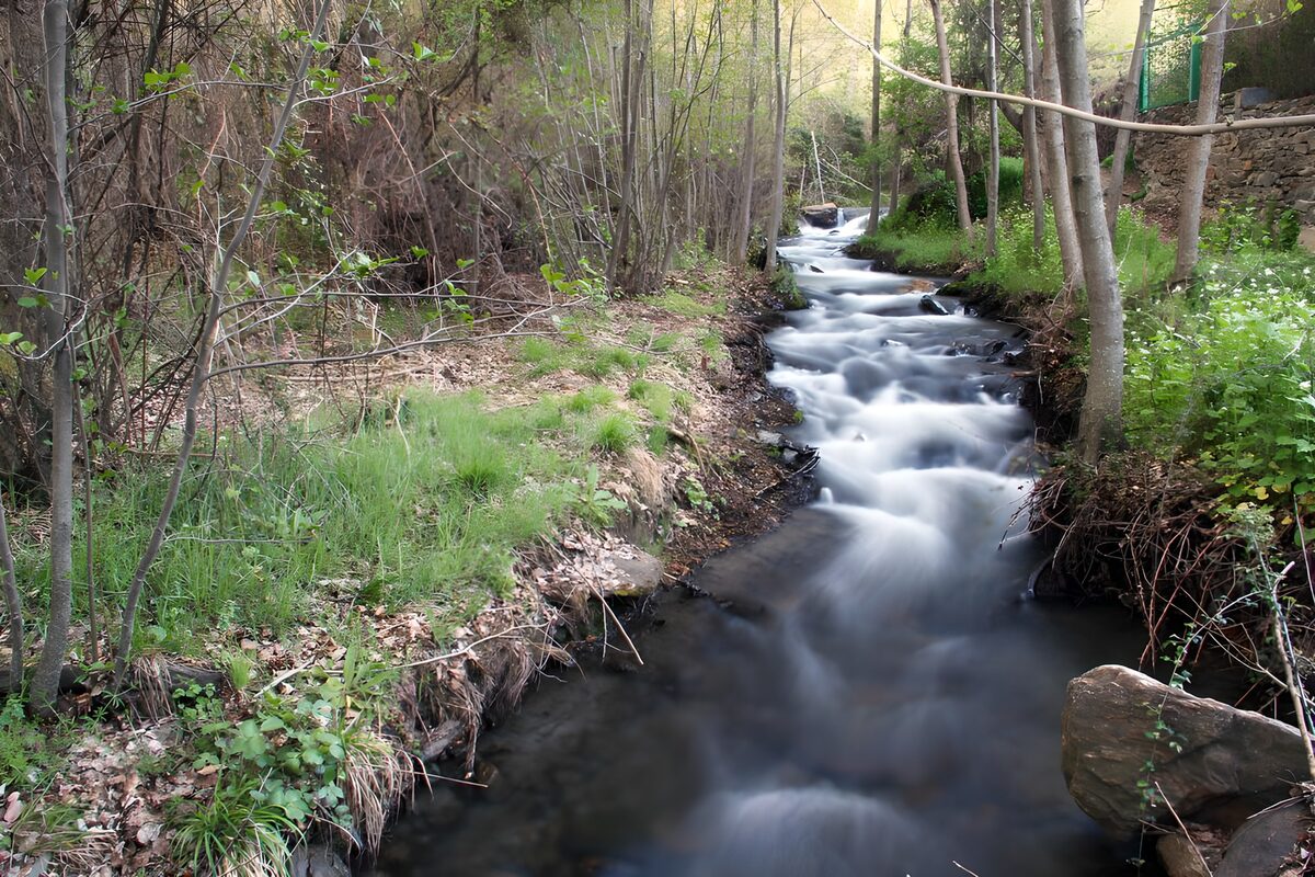 Arroyo entre rocas y árboles