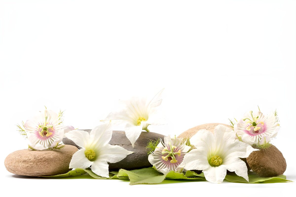 Flores blancas, pasifloras y piedras