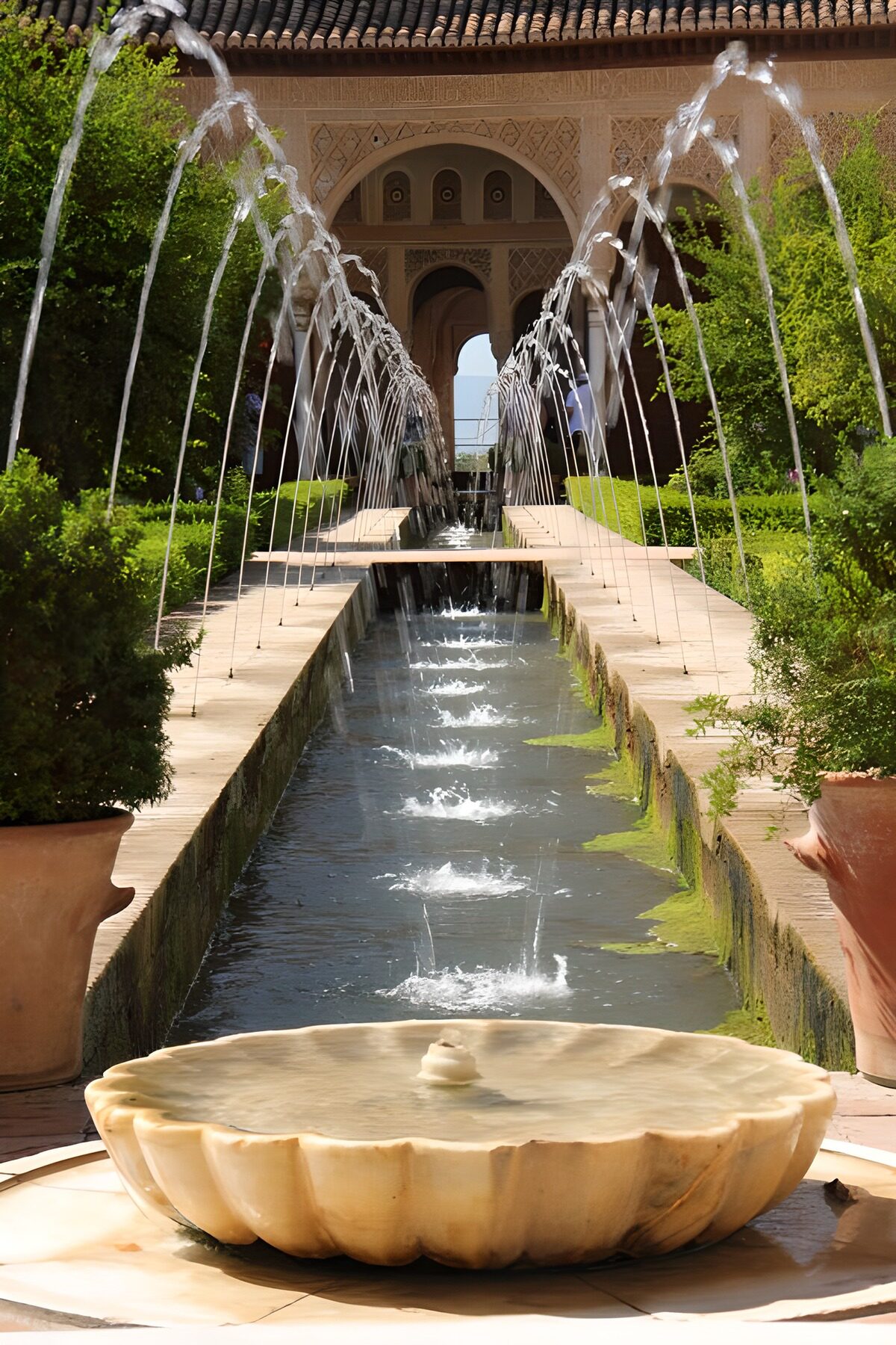 Fuentes y verdor en un patio soleado