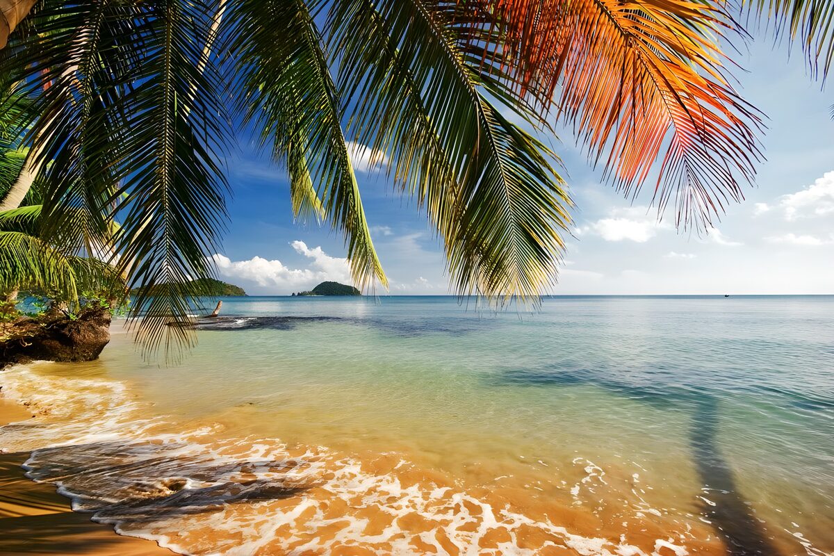 TPES92865: Playa de aguas turquesas bajo las palmeras