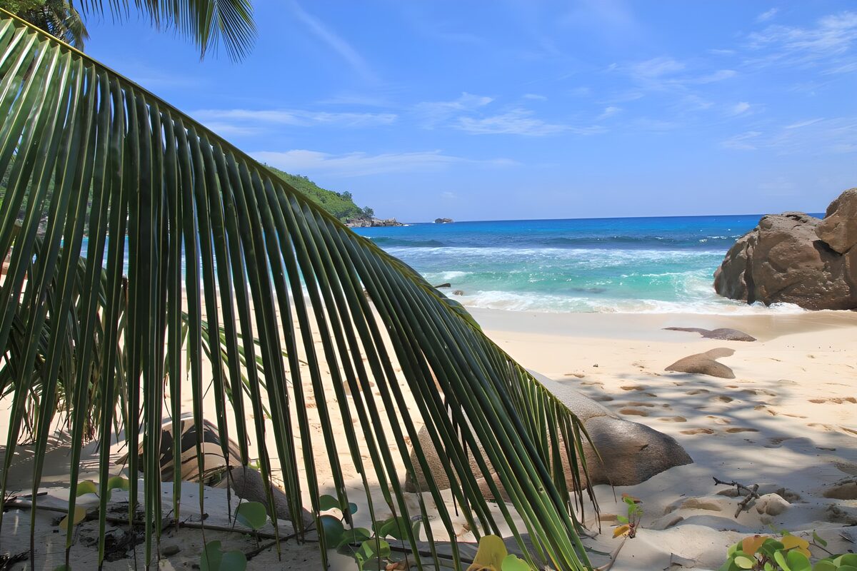 TPES15185: Playa tropical con rocas y hoja de palmera