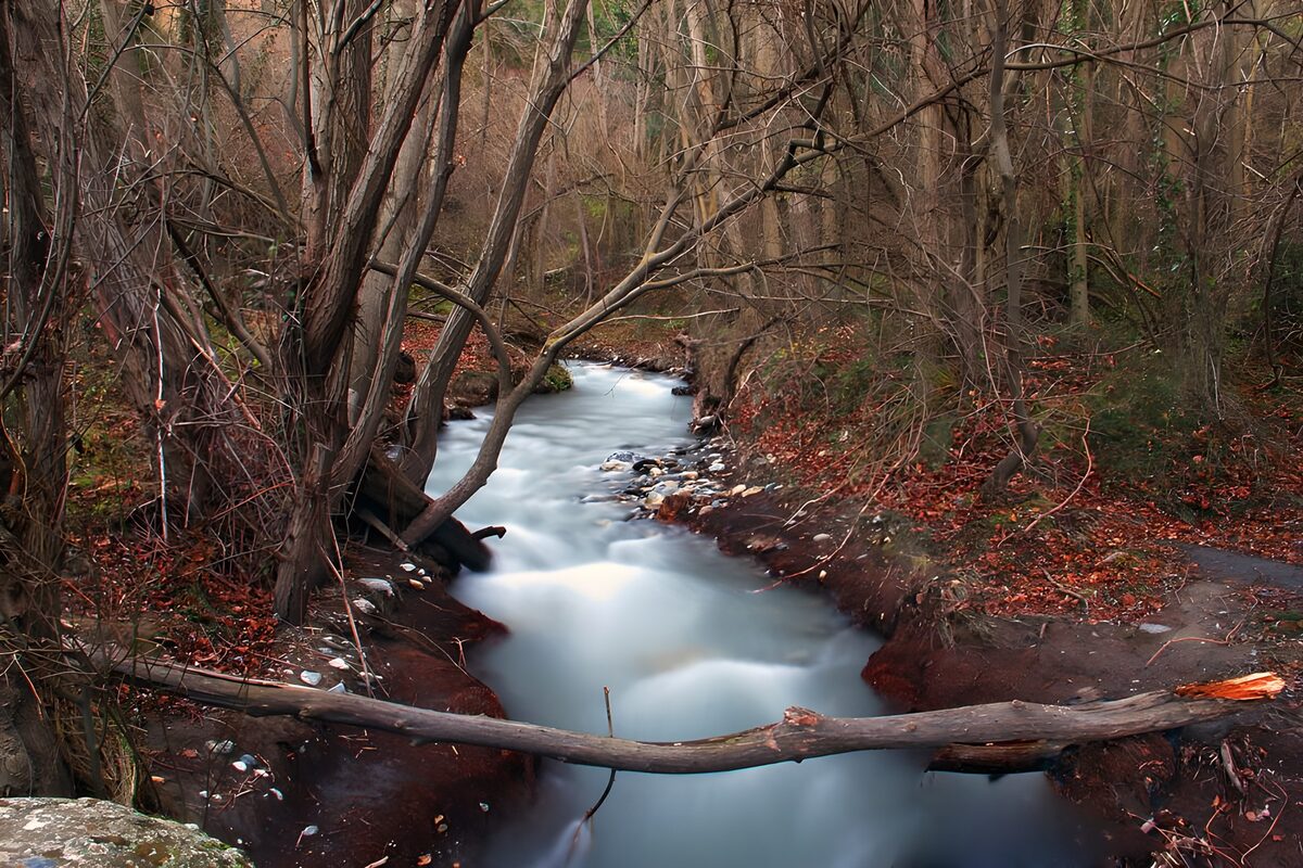 El hilo de plata del arroyo