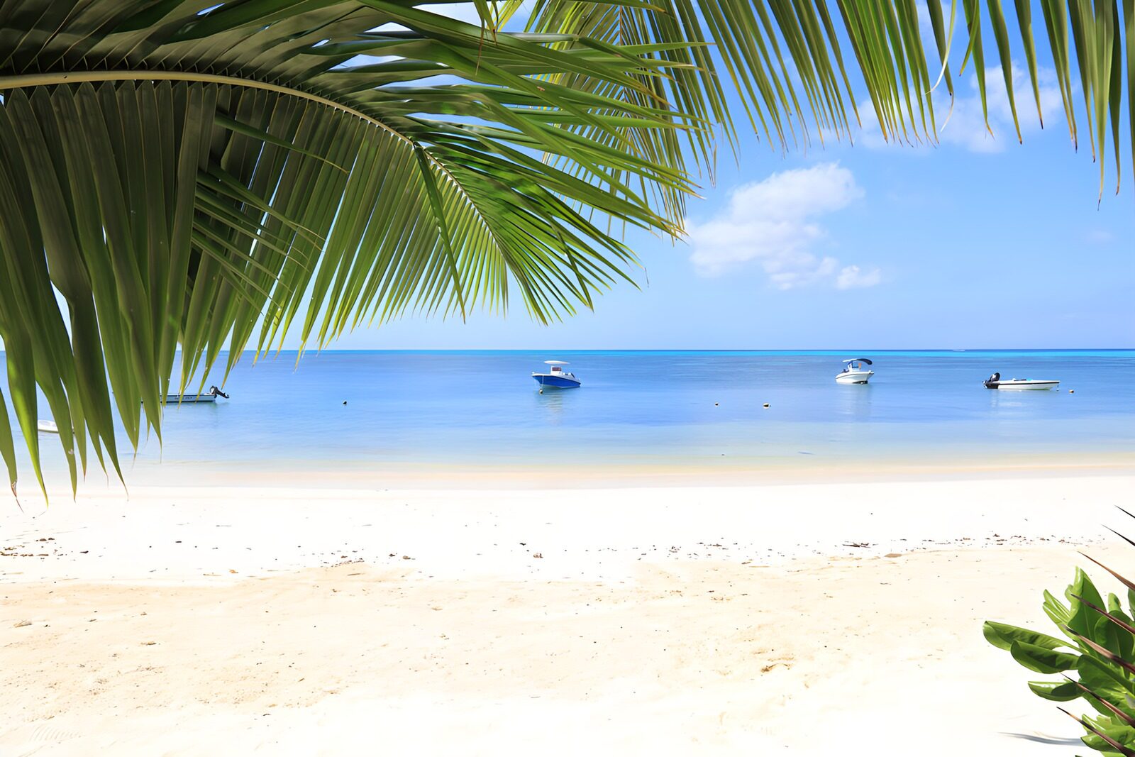 TPES51419: Playa tropical con palmeras y barcos