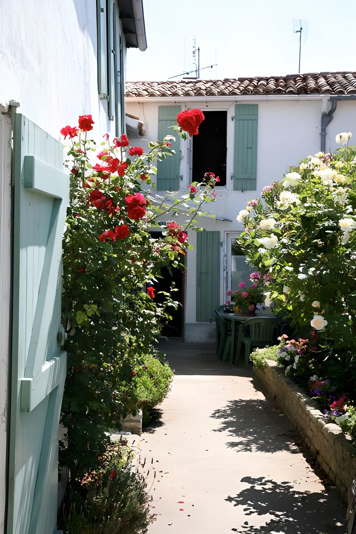Patio de rosas y contraventanas verdes