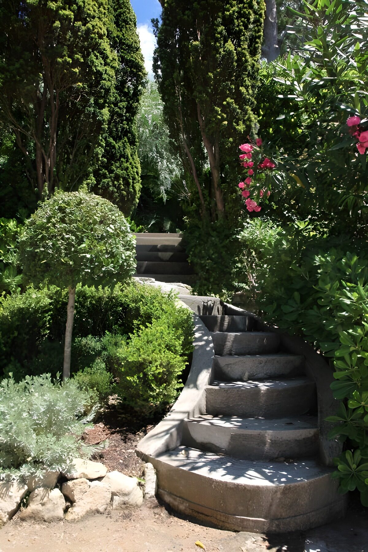TPES17801: Escalera de piedra entre flores y sombra