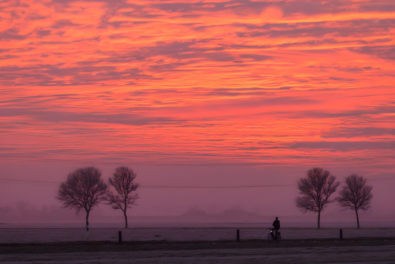 TPES61041: Ciclista entre árboles bajo un cielo rosa