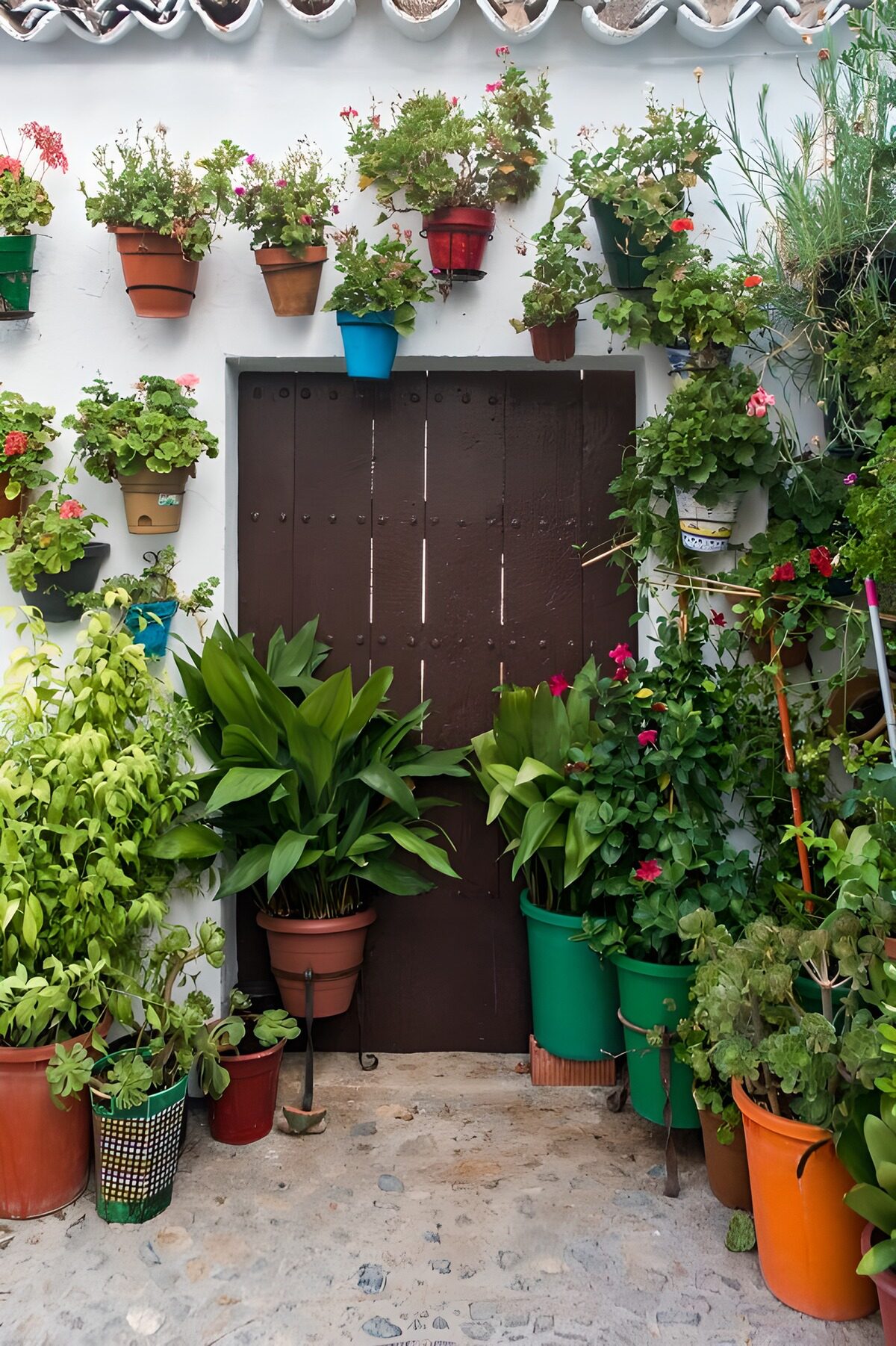 TPES44478: Puerta de madera entre macetas y flores