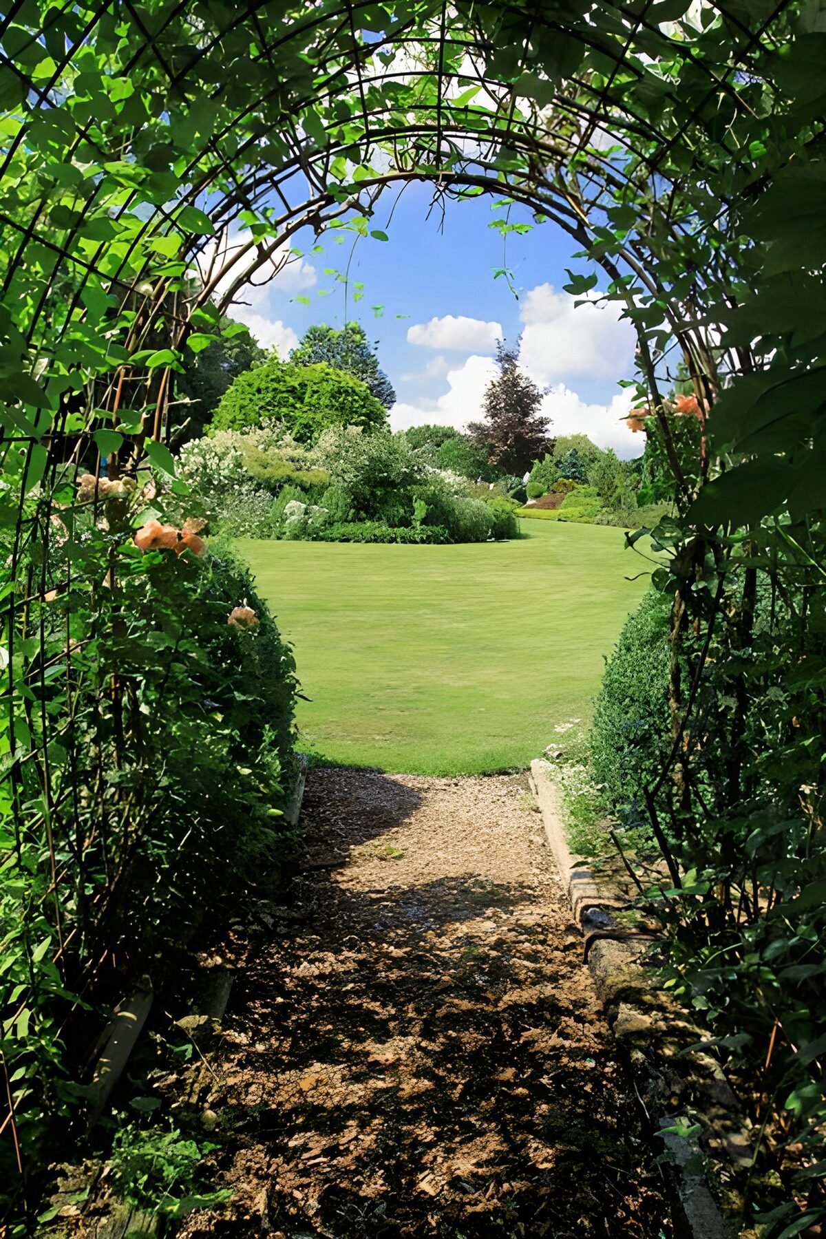Arco de trepadoras y césped al sol
