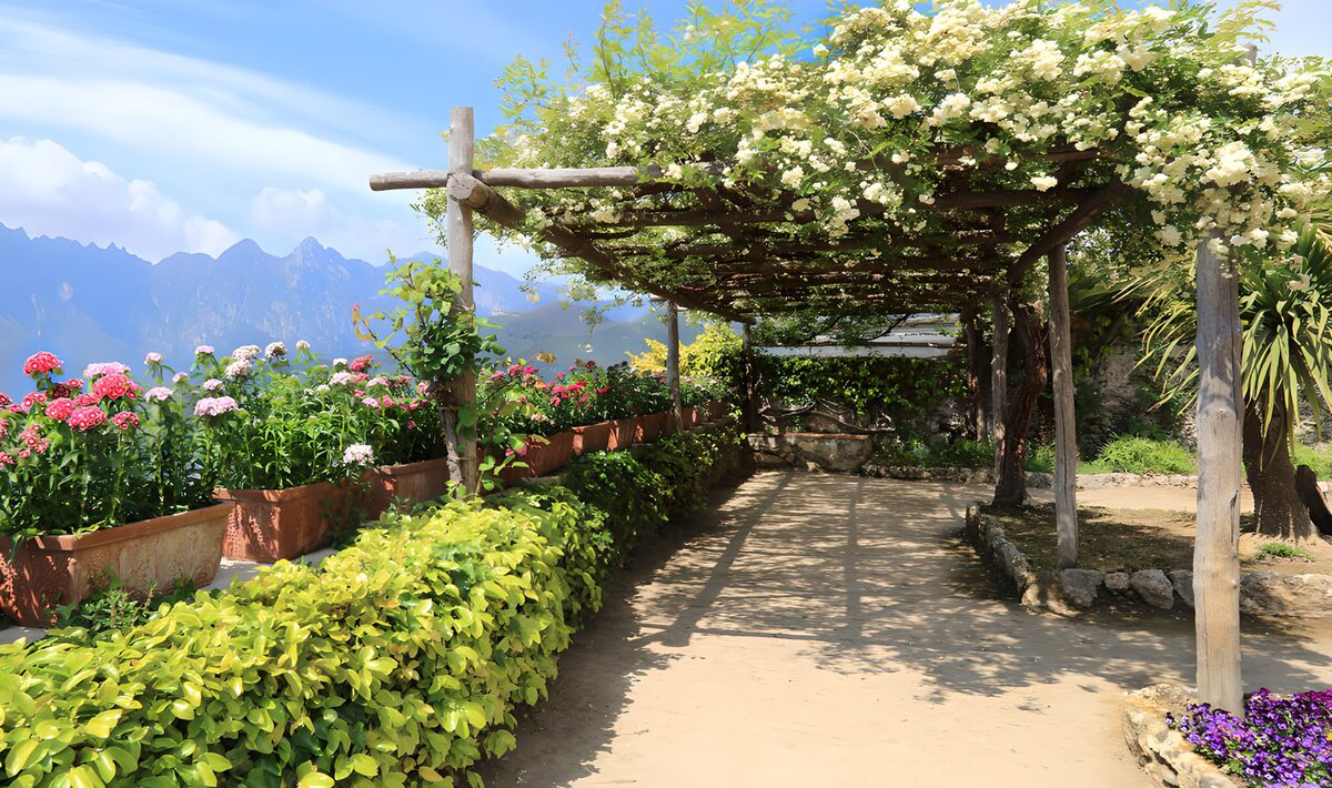 TPES29721: Pérgola florida y sendero al sol