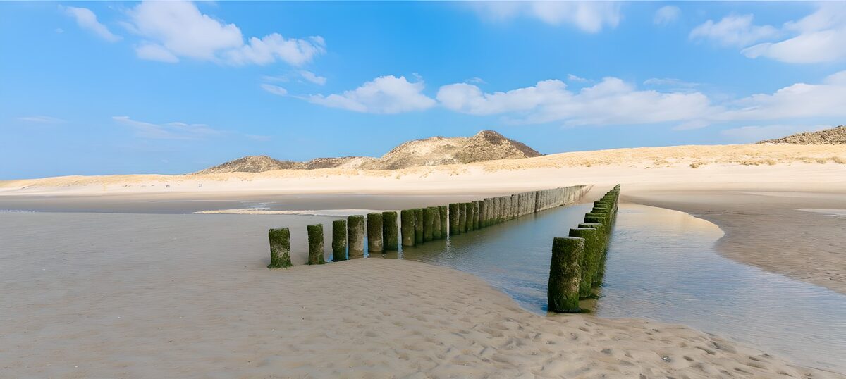 TPES62939: Postes de madera en la playa con marea baja
