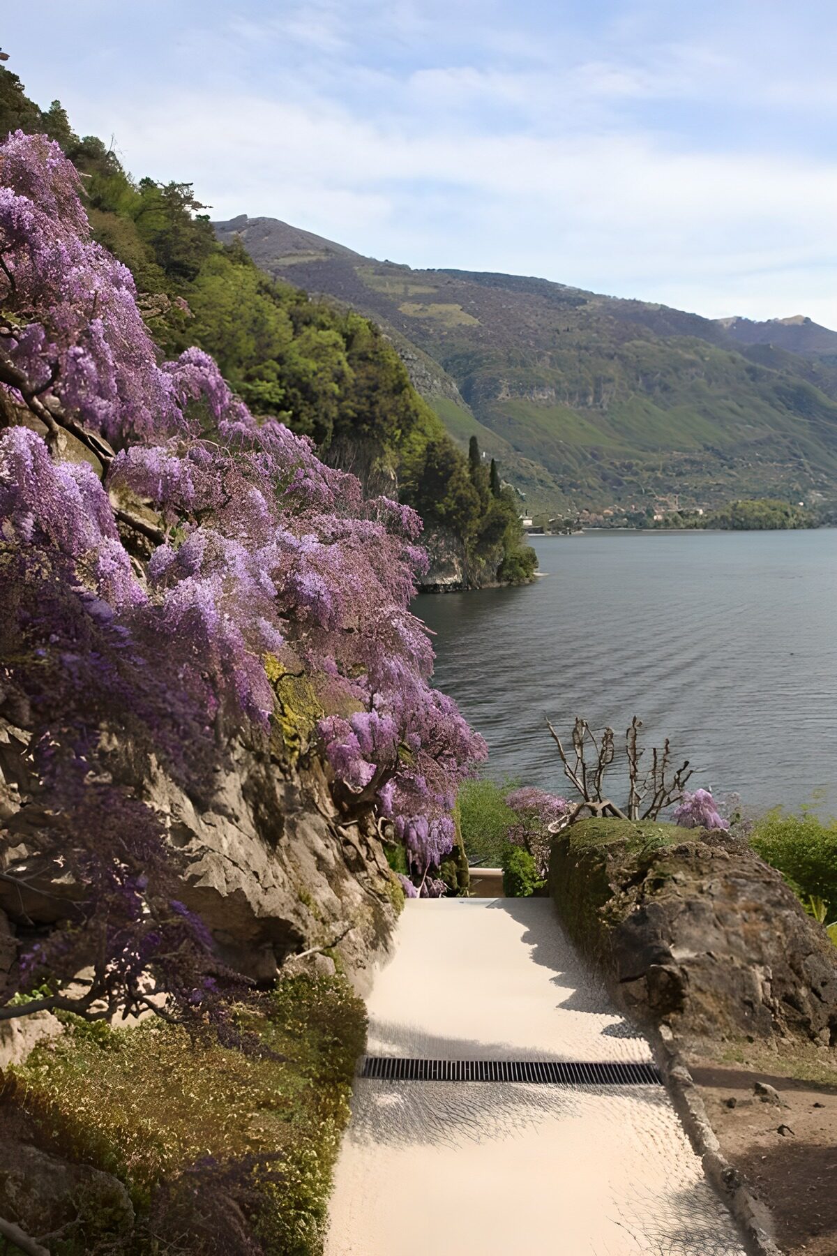 TPES41747: Camino entre flores junto al lago
