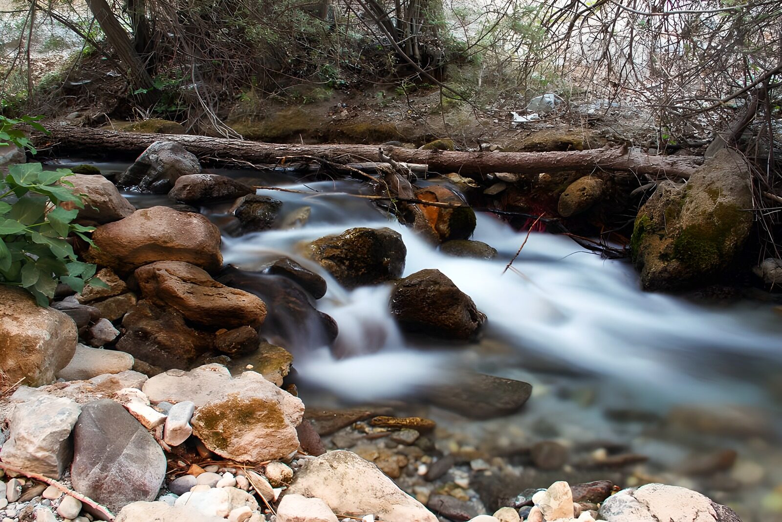 TPES71495: Agua de seda a la sombra del bosque