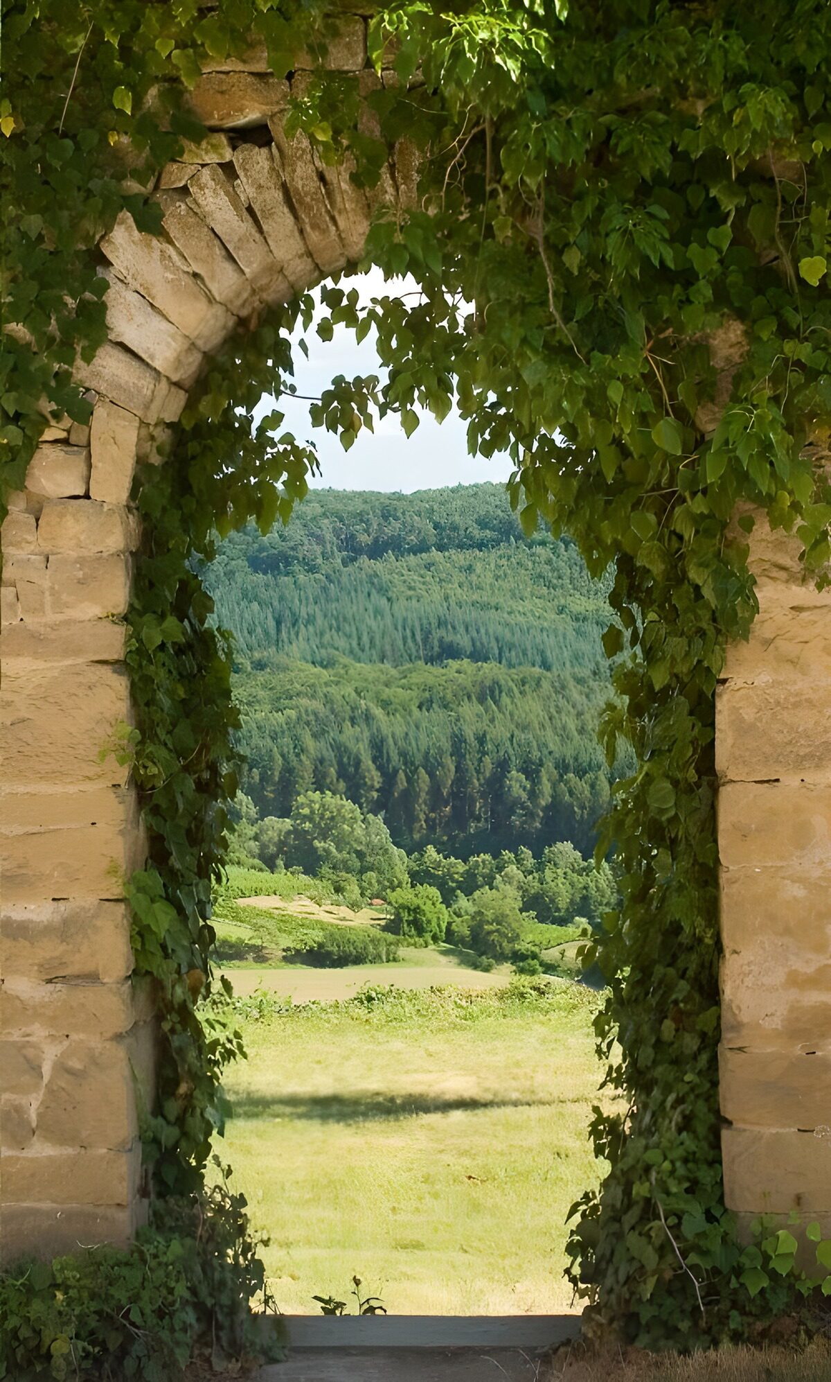 Arco de piedra con vistas al bosque