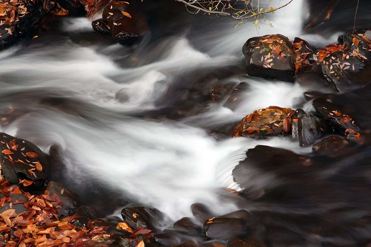 TPES82609: Arroyo de otoño entre rocas oscuras