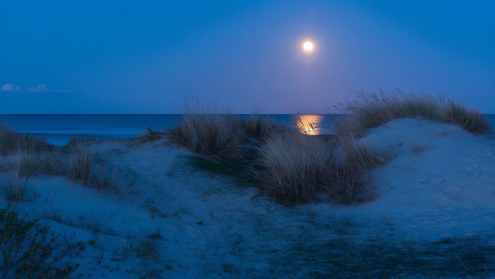 TPES15402: Luna llena sobre las dunas y el mar