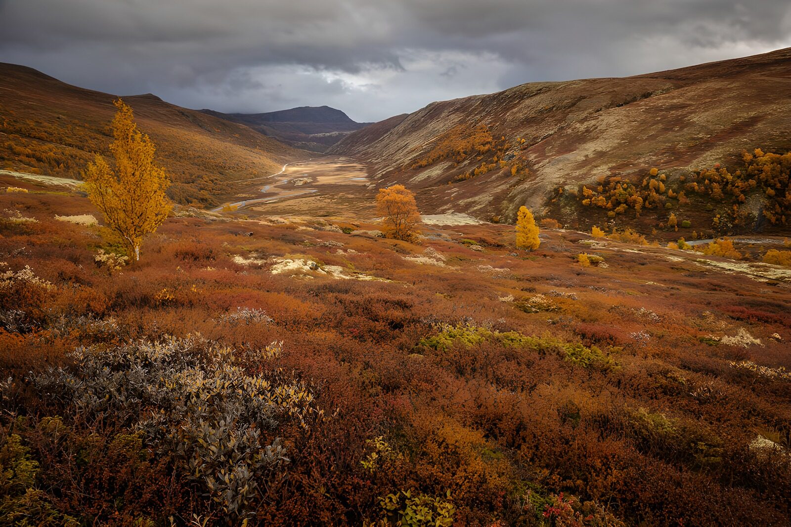 TPES33963: Valle de otoño bajo un cielo gris