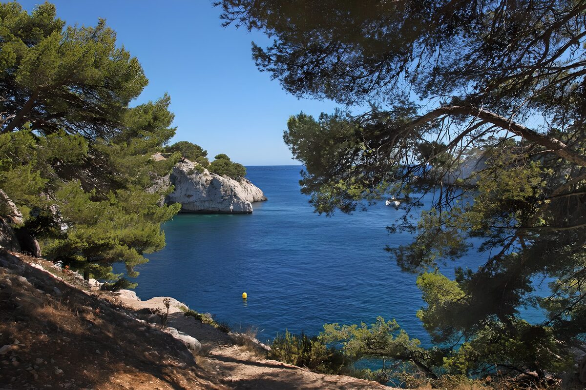 TPES20216: Cala azul entre pinos y rocas blancas