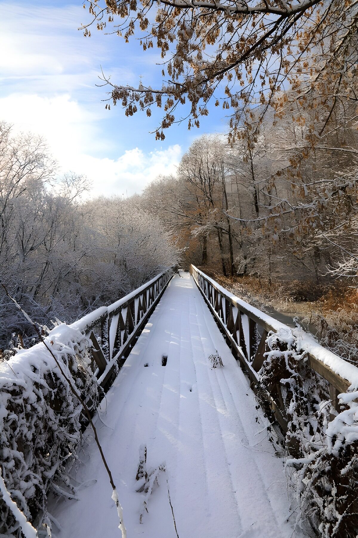 TPES79961: Puente nevado bajo el cielo azul