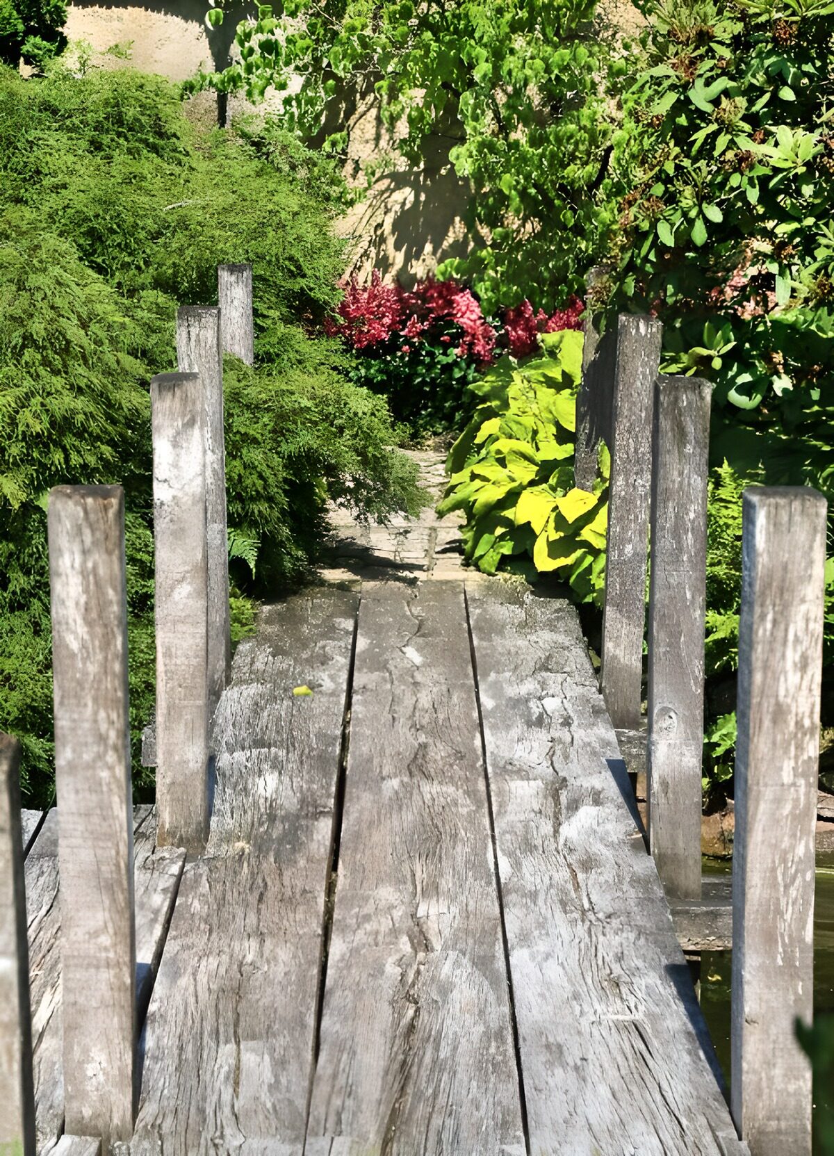 TPES79817: Puente de madera entre plantas y flores
