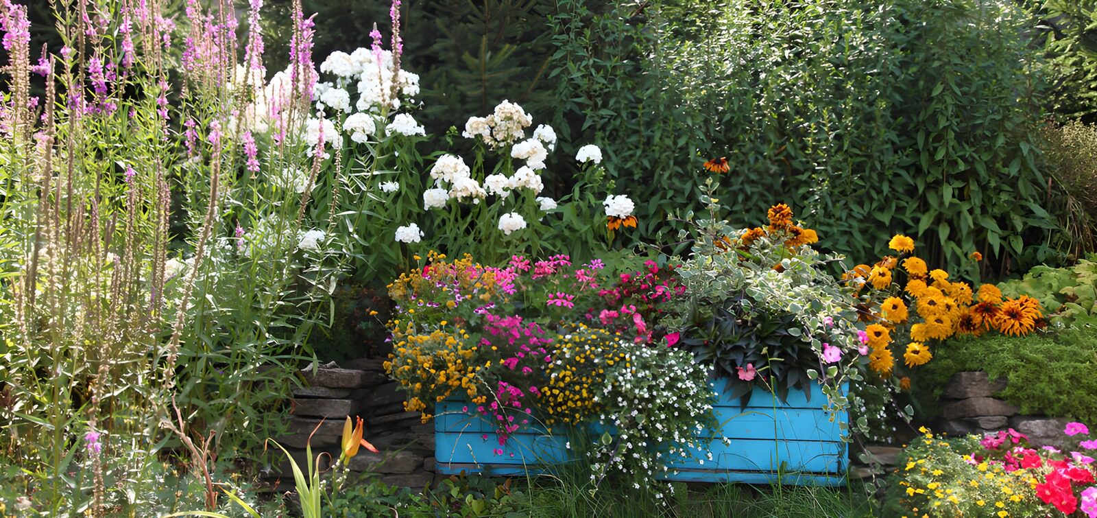 TPES19461: Jardinera turquesa con flores al sol
