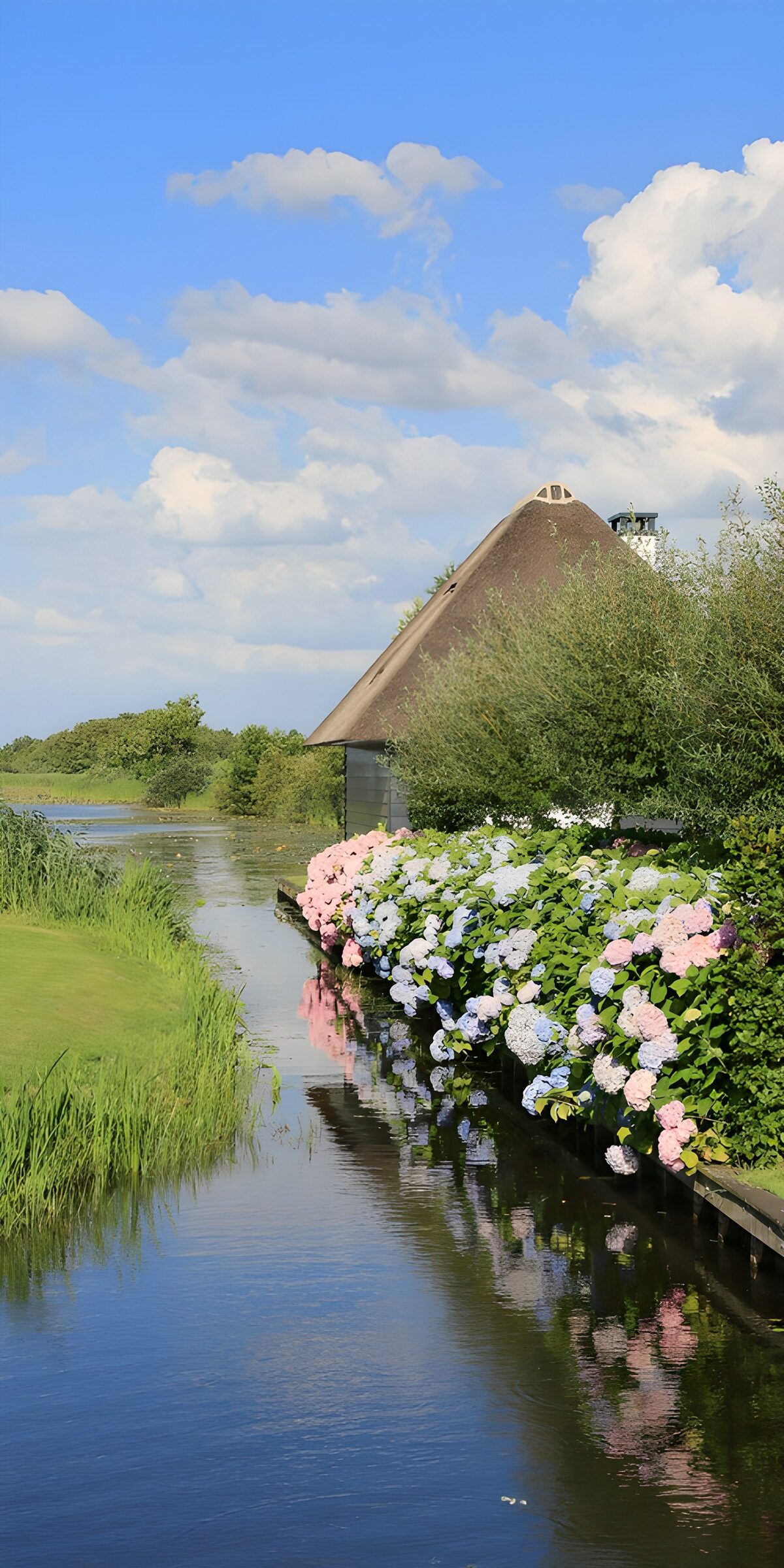 TPES67821: Canal entre hortensias y una casa de campo